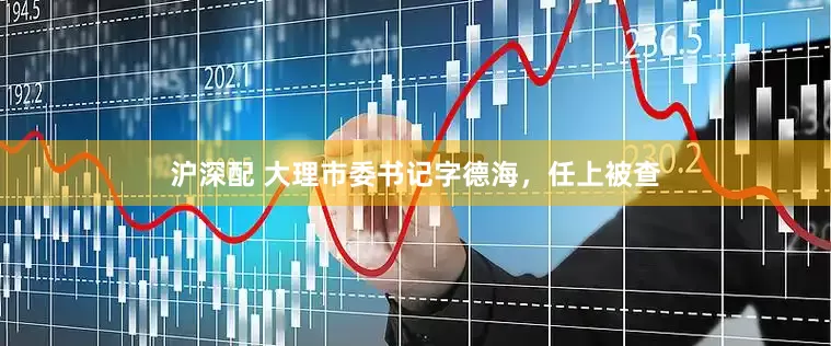 沪深配 大理市委书记字德海，任上被查